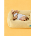 Small dog bed pad
