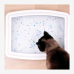Nonclumping cat Litter