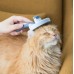 Pet Needle Comb
