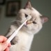 360 degree dog and cat specific toothbrush