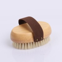 pet bathing brush