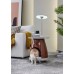 Pet table with lights