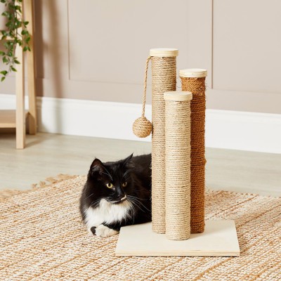 cat scratching post
