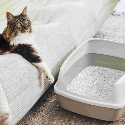 Open cat litter box