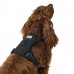 Super Soft Dog Strap Black