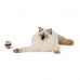 Plush ball cat toy
