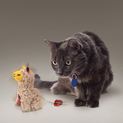 Alpaca Cat Toy